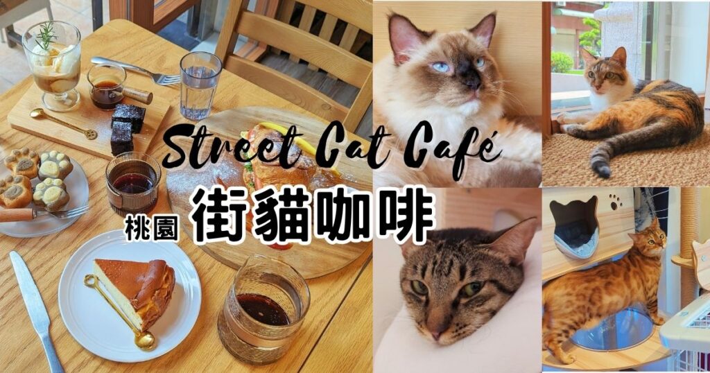 街貓咖啡 Street Cat Café