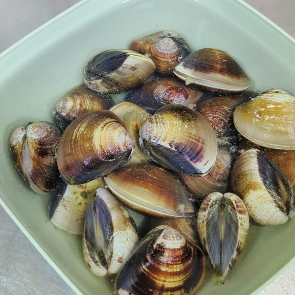 宅配美食開箱｜Kawa巧活食品 健康美味的無憂饗宴。秋天進補 – 懶人食譜交給你，蒜頭蛤蠣燉雞湯、雞湯火鍋