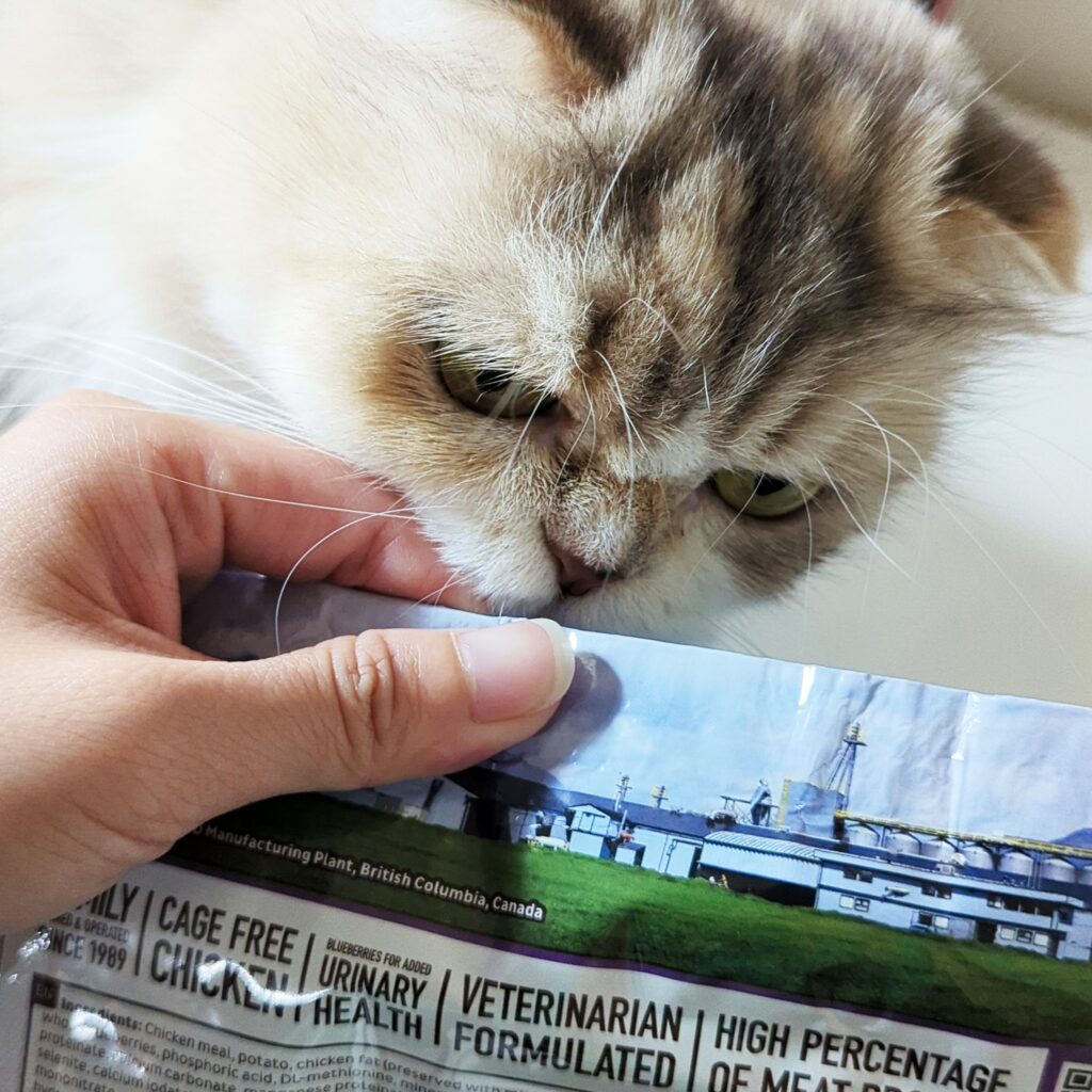 貓飼料開箱｜第一饗宴評價：WDJ推薦平價加拿大飼料，貓咪無穀飼料推薦，挑嘴貓也愛吃的飼料