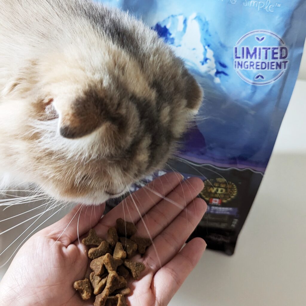 貓飼料開箱｜第一饗宴評價：WDJ推薦平價加拿大飼料，貓咪無穀飼料推薦，挑嘴貓也愛吃的飼料