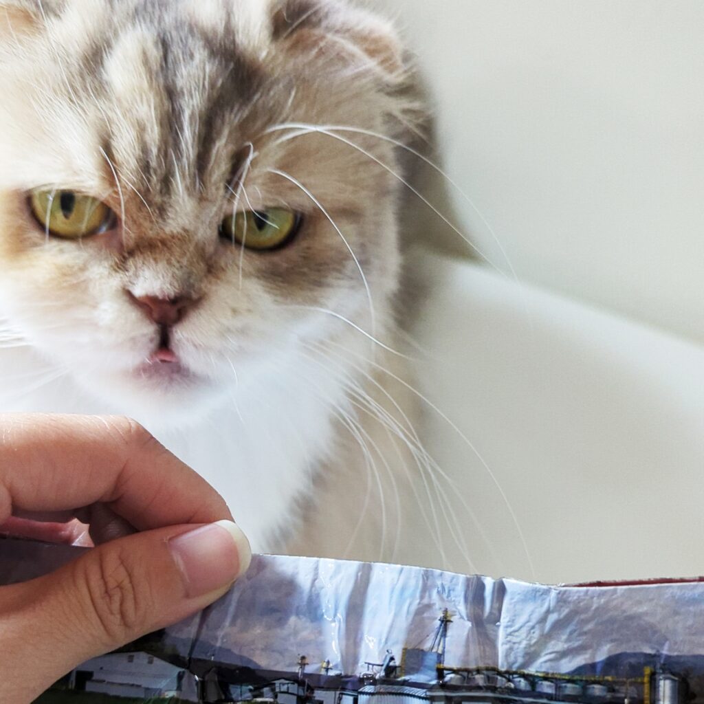 貓飼料開箱｜第一饗宴評價：WDJ推薦平價加拿大飼料，貓咪無穀飼料推薦，挑嘴貓也愛吃的飼料