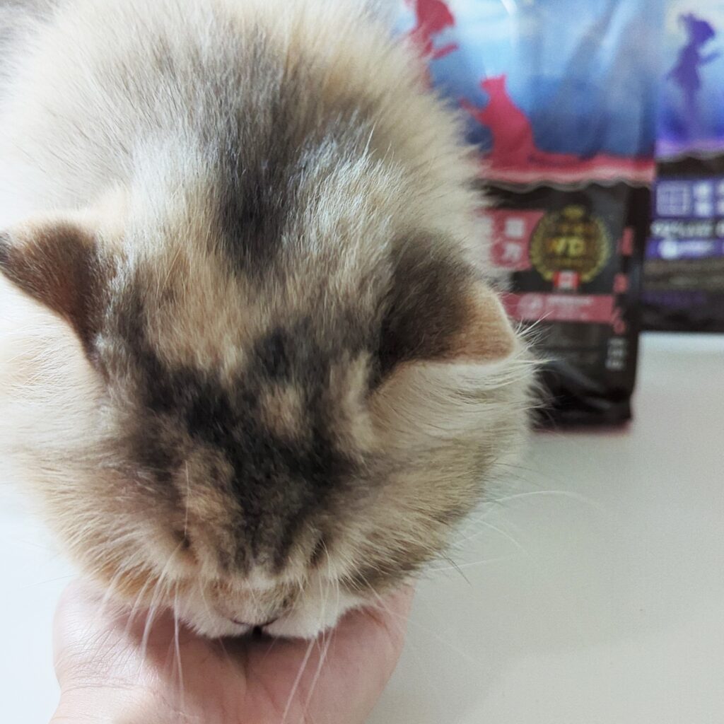 貓飼料開箱｜第一饗宴評價：WDJ推薦平價加拿大飼料，貓咪無穀飼料推薦，挑嘴貓也愛吃的飼料