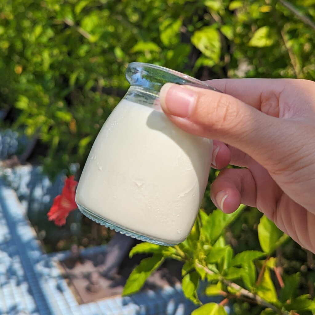 甜點開箱｜小羊愛吃甜-義式奶酪綜合禮盒，自然無添加，高鈣低糖，奶香綿密又好吃
