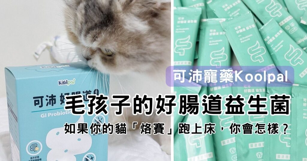 貓咪保健｜可沛寵藥Koolpal｜益生菌讓貓咪擁有好腸道，遠離便秘卡卡不順暢，紅紅小菊說掰掰