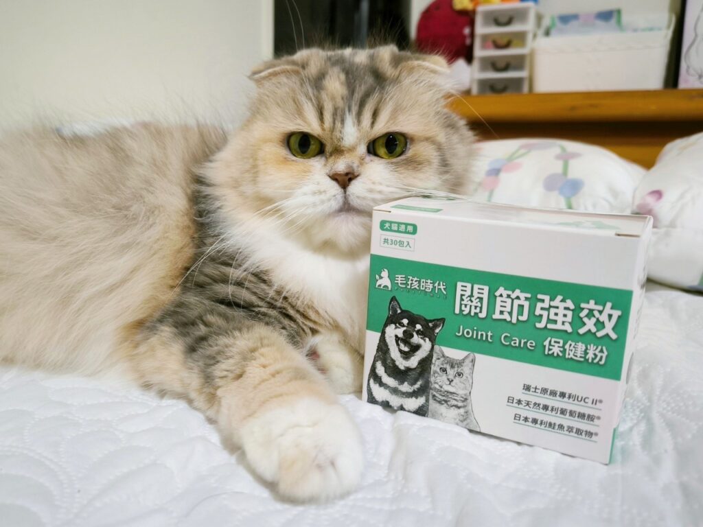 貓咪保健｜毛孩時代-關節強效保健粉｜寵物關節保健品推薦，折耳貓貓必備保健品！
