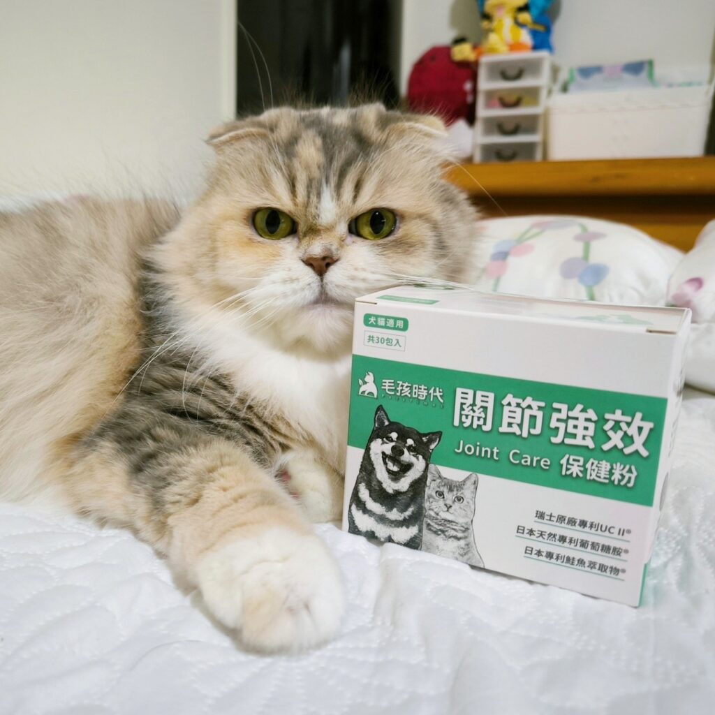 貓咪保健｜毛孩時代-關節強效保健粉｜寵物關節保健品推薦，折耳貓貓必備保健品！