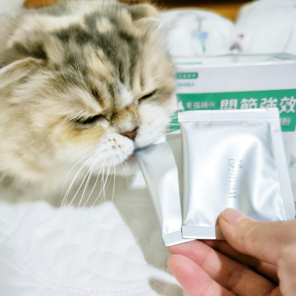 貓咪保健｜毛孩時代-關節強效保健粉｜寵物關節保健品推薦，折耳貓貓必備保健品！