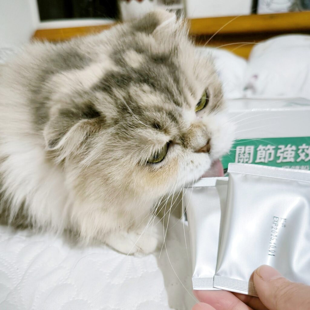 貓咪保健｜毛孩時代-關節強效保健粉｜寵物關節保健品推薦，折耳貓貓必備保健品！