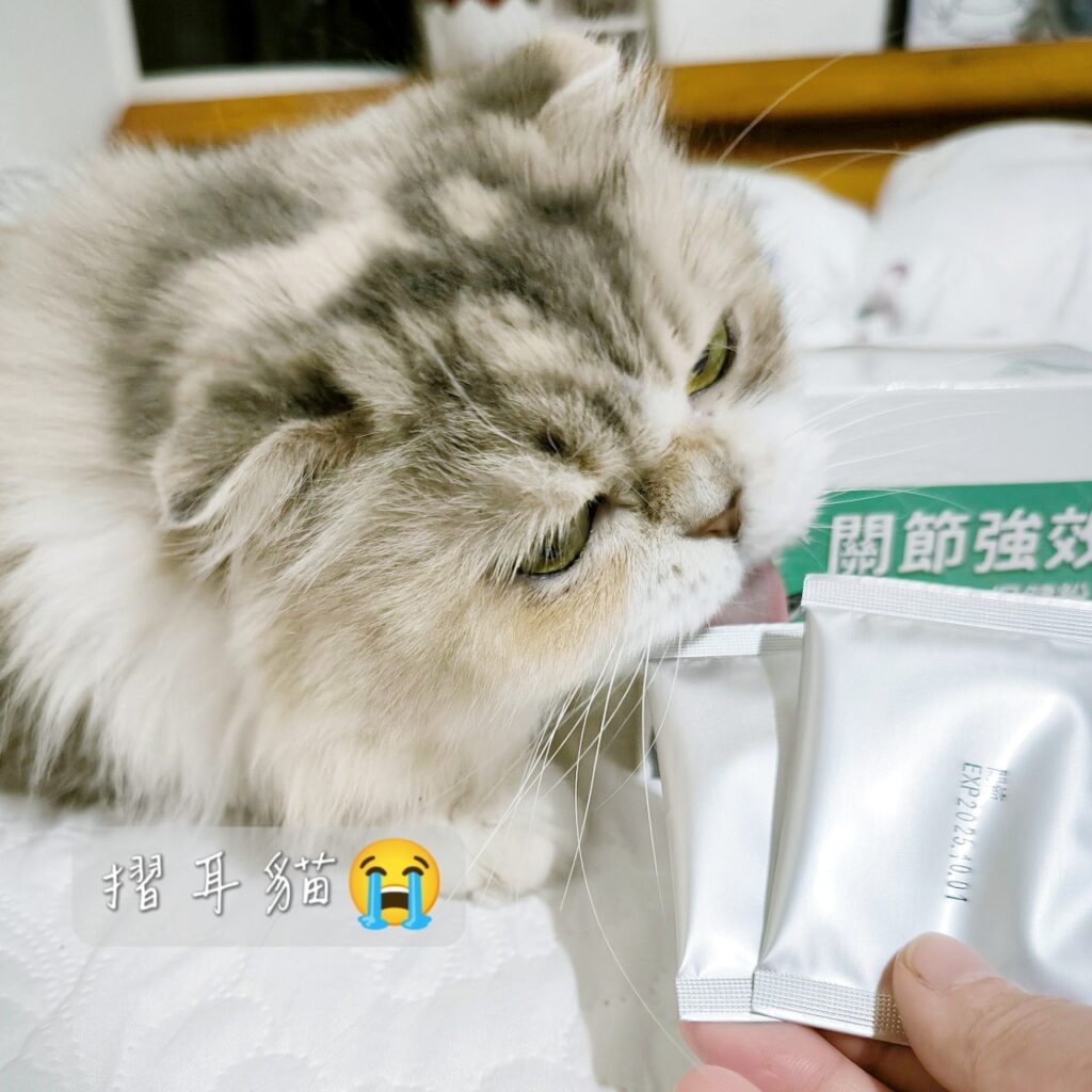 貓咪保健｜毛孩時代-關節強效保健粉｜寵物關節保健品推薦，折耳貓貓必備保健品！