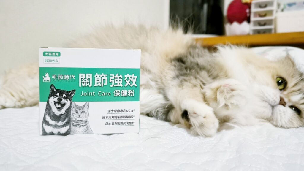 貓咪保健｜毛孩時代-關節強效保健粉｜寵物關節保健品推薦，折耳貓貓必備保健品！