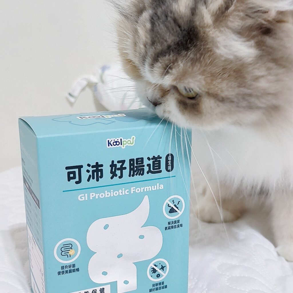 貓咪保健｜可沛寵藥Koolpal｜益生菌讓貓咪擁有好腸道，遠離便秘卡卡不順暢，紅紅小菊說掰掰