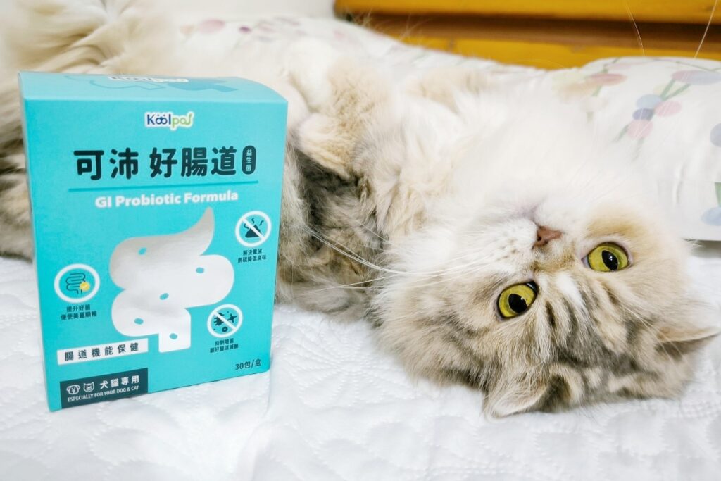 貓咪保健｜可沛寵藥Koolpal｜益生菌讓貓咪擁有好腸道，遠離便秘卡卡不順暢，紅紅小菊說掰掰