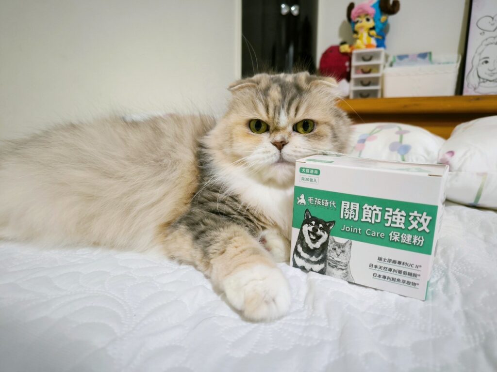 貓咪保健｜毛孩時代-關節強效保健粉｜寵物關節保健品推薦，折耳貓貓必備保健品！