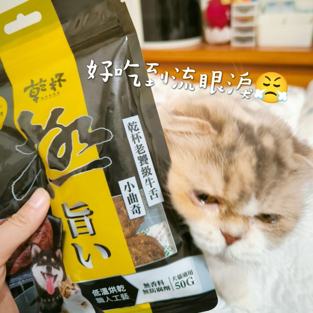 貓咪最愛｜毛孩乾杯｜網購寵物零食開箱：乾杯老饕級牛舌零食，讓我可以重回當主人的模樣，一塊牛舌凍乾，讓毛孩子露出渴望神情