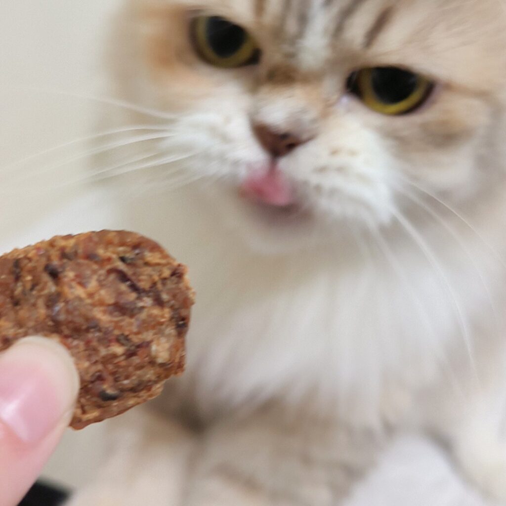 貓咪最愛｜毛孩乾杯｜網購寵物零食開箱：乾杯老饕級牛舌零食，讓我可以重回當主人的模樣，一塊牛舌凍乾，讓毛孩子露出渴望神情