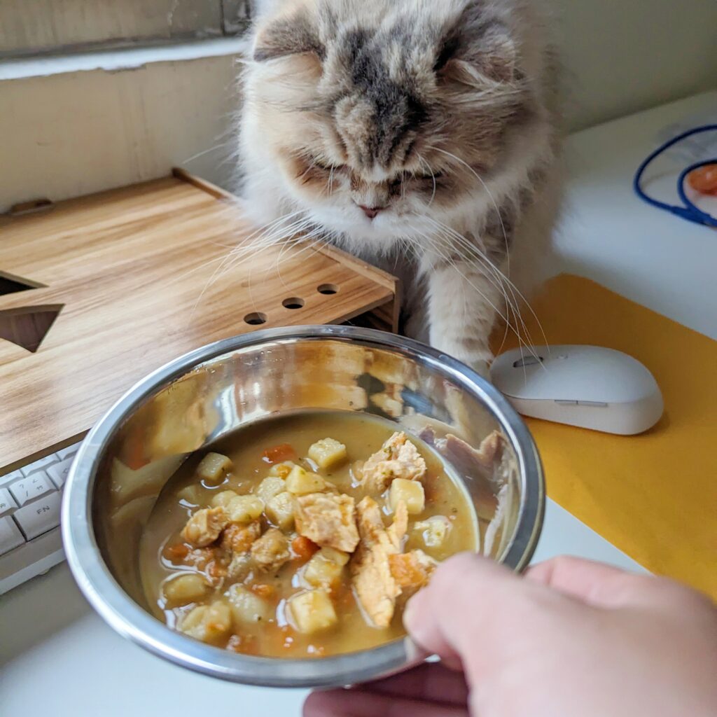貓咪最愛｜寵心出發Pet Tomodachi｜貓咪狗狗都能吃的寵物餐包推薦-鮮食機能餐包，來自台灣的品牌，MIT製造，使用100%天然食材，透過食物幫寵物補充營養。