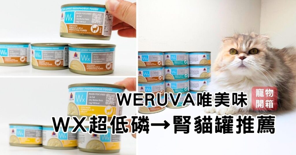 貓咪開箱|WERUVA唯美味|Wx超低磷貓罐→腎貓罐頭推薦,選用天然低磷優質蛋白,對於有腎臟問題的貓貓,也能享受美味的營養主食罐!