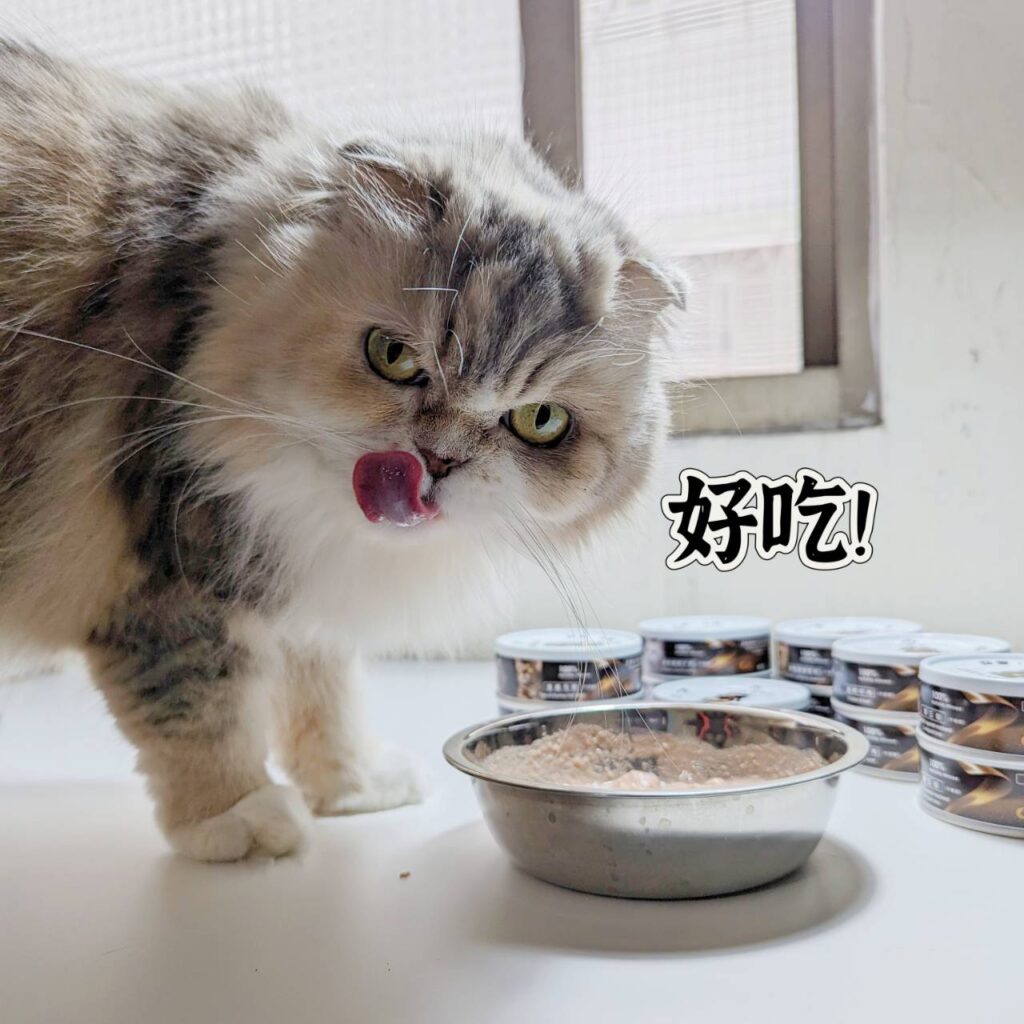 貓咪開箱｜貓侍Catpool｜MIT寵物友善品牌，升級版低敏食材天然主食罐，低磷罐頭推薦分享給你最可愛的貓貓們！泥狀罐罐貓咪接受度高，無牙老貓貓也能啃上幾口