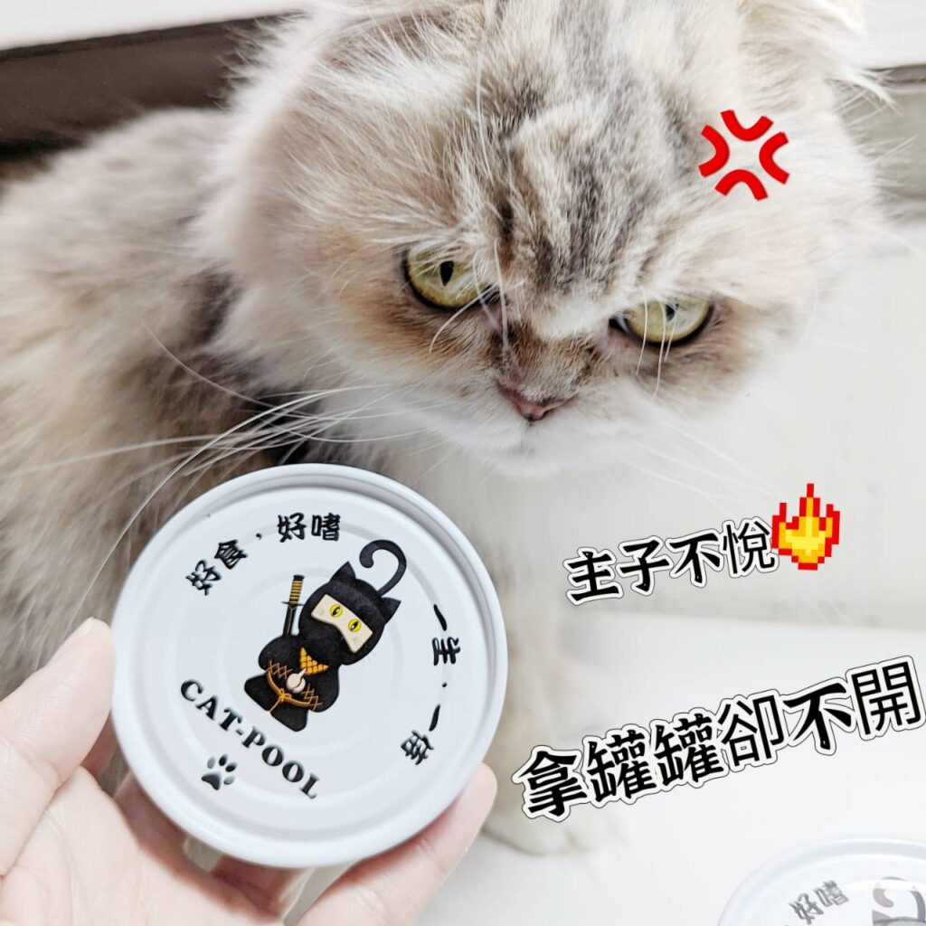 貓咪開箱｜貓侍Catpool｜MIT寵物友善品牌，升級版低敏食材天然主食罐，低磷罐頭推薦分享給你最可愛的貓貓們！泥狀罐罐貓咪接受度高，無牙老貓貓也能啃上幾口