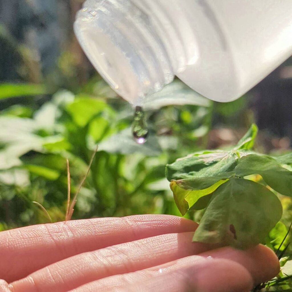 日常保養｜INALUMIE 芙木之光｜多重玻尿酸保濕精華化妝水與1%超能A醇煥顏精華液一次開箱，養成水嫩美肌計畫，保濕補水與溫和煥新一次達成