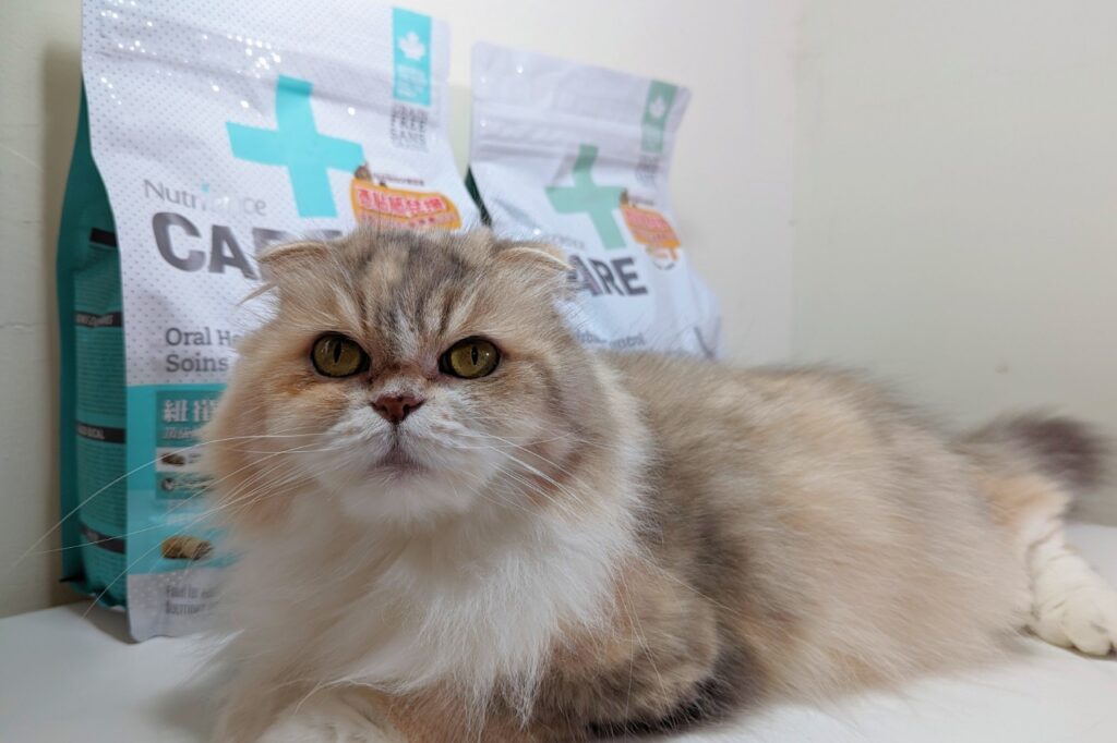 無穀低敏處方飼料開箱｜八犬寵物｜Nutrience紐崔斯CARE+評價，2024飼料推薦-毛球控制配方與口腔護理控制配方，長毛貓咪又不愛刷牙怎麼辦？只好從飲食著手改善！
