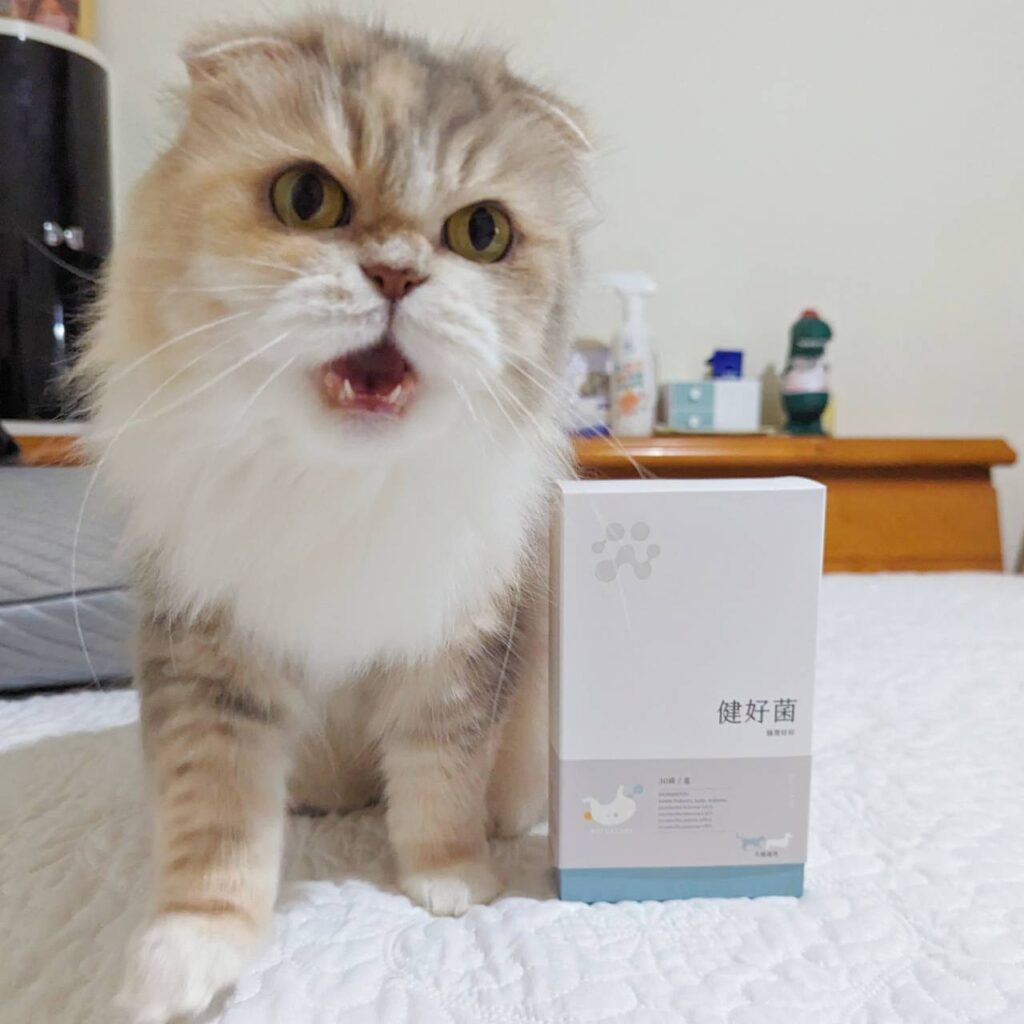 貓咪開箱｜紐促康Nuforcare｜健好菌，寵物的好夥伴，每天一包，保護毛孩腸胃保健，適口性佳，連貓咪都愛的寵物益生菌