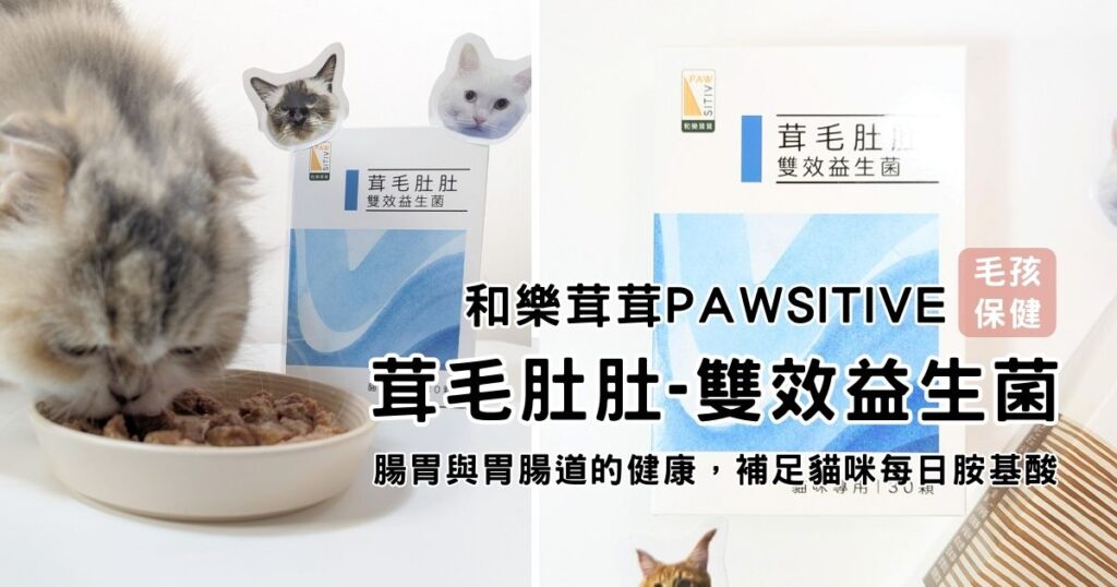 貓咪益生菌開箱｜和樂茸茸Pawsitive｜茸毛肚肚雙效益生菌貓咪，一顆抵四瓶，腸胃與胃腸道的健康，補足貓咪每日胺基酸，一次搞定！