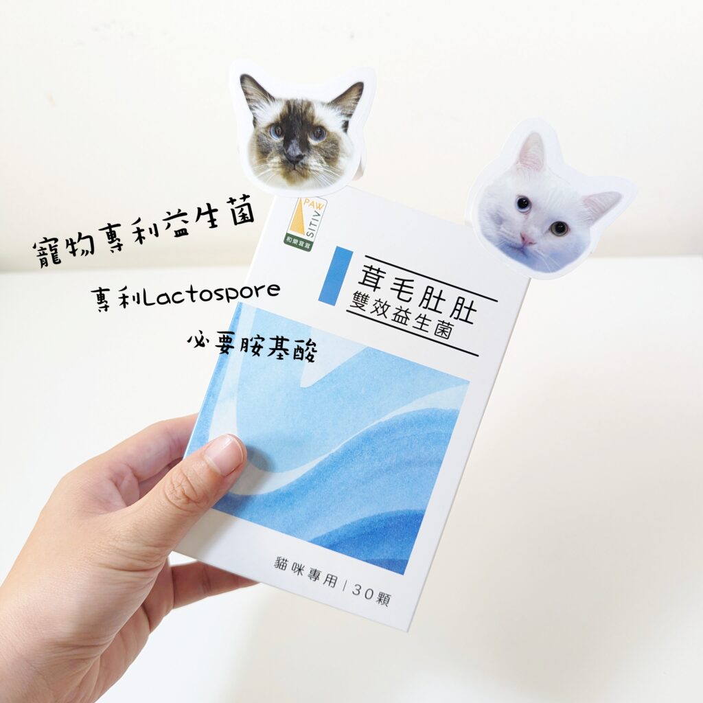 貓咪益生菌開箱｜和樂茸茸Pawsitive｜茸毛肚肚雙效益生菌貓咪，一顆抵四瓶，腸胃與胃腸道的健康，補足貓咪每日胺基酸，一次搞定！