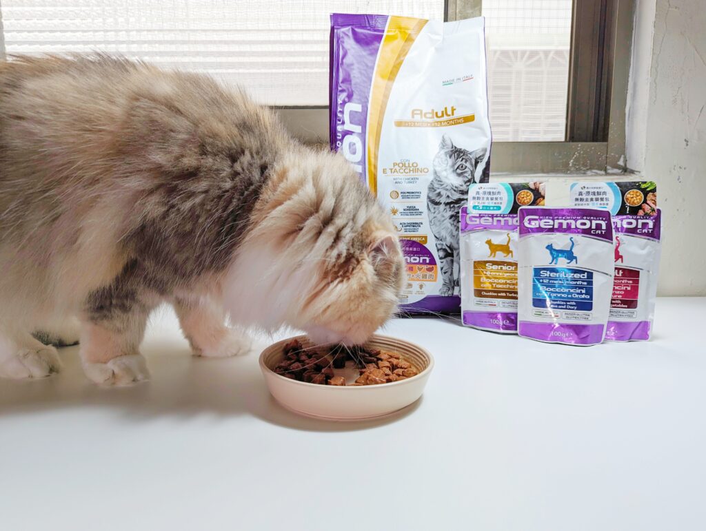 2024寵物糧推薦｜品果國際｜低敏配方寵物飼料開箱，貓咪三重奏 義大利啓蒙Gemon 貓用 主食糧＋主食罐＋餐包，怎麼吃都不會膩