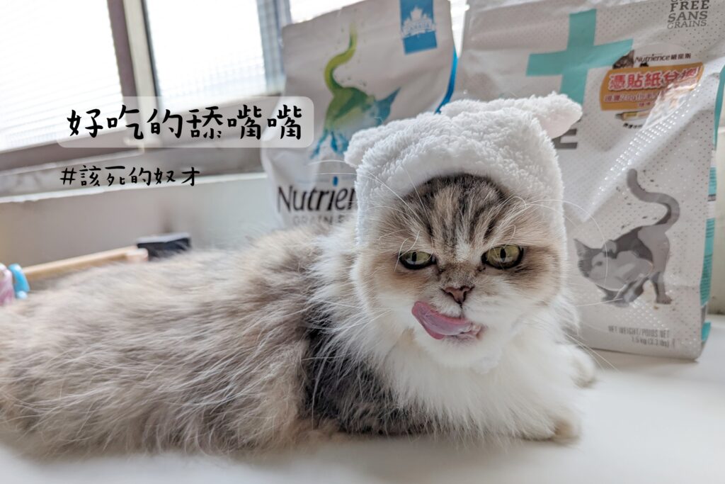 貓咪開箱｜八犬寵物｜2024飼料推薦-Nutrience紐崔斯「無穀養生貓-六種魚(深海鱈魚&漢方草本)」貓飼料開箱囉