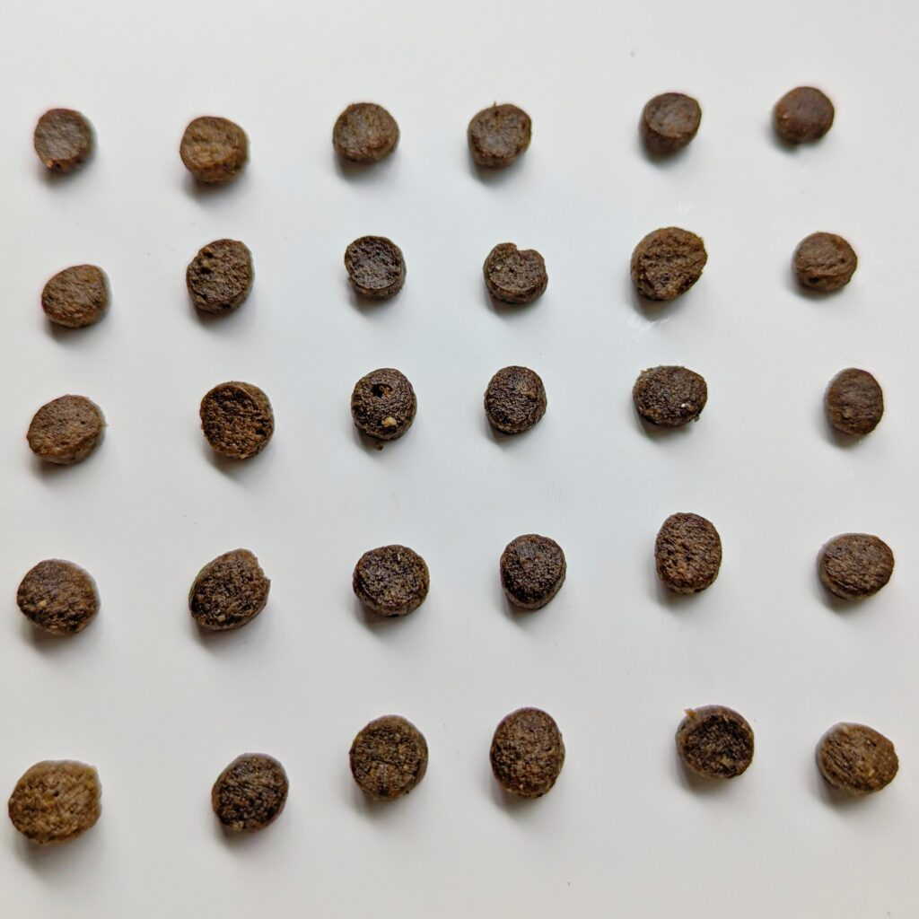 貓咪開箱｜八犬寵物｜2024飼料推薦-Nutrience紐崔斯「無穀養生貓-六種魚(深海鱈魚&漢方草本)」貓飼料開箱囉