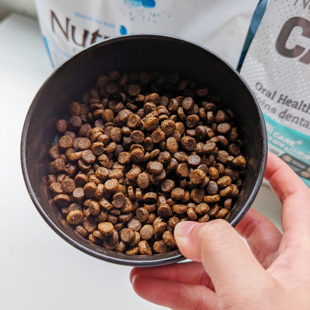 貓咪開箱｜八犬寵物｜2024飼料推薦-Nutrience紐崔斯「無穀養生貓-六種魚(深海鱈魚&漢方草本)」貓飼料開箱囉