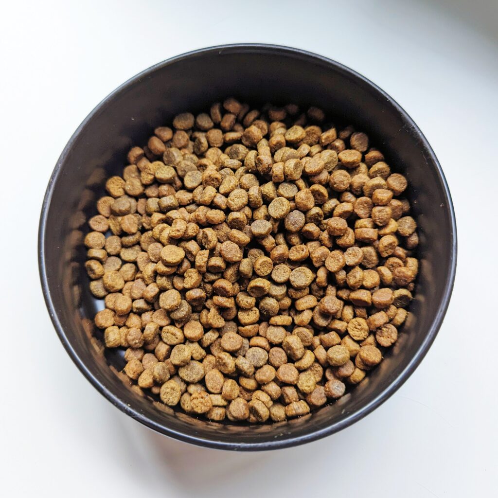 貓咪開箱｜八犬寵物｜2024飼料推薦-Nutrience紐崔斯「無穀養生貓-六種魚(深海鱈魚&漢方草本)」貓飼料開箱囉