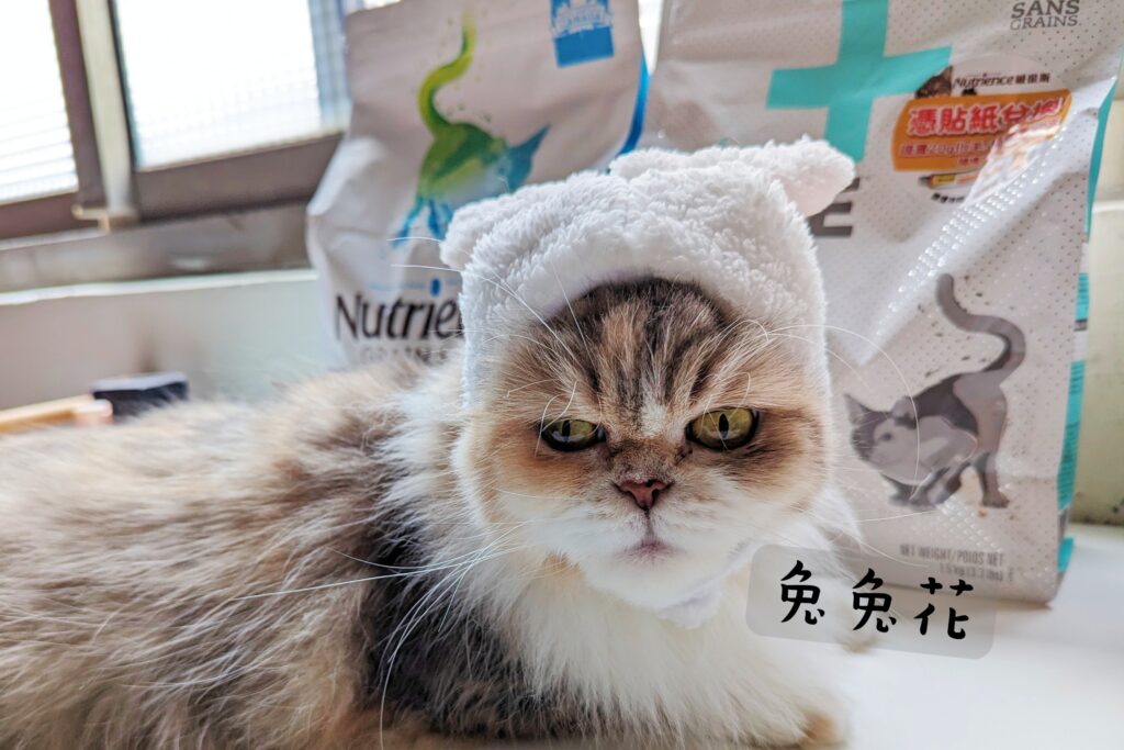 貓咪開箱｜八犬寵物｜2024飼料推薦-Nutrience紐崔斯「無穀養生貓-六種魚(深海鱈魚&漢方草本)」貓飼料開箱囉