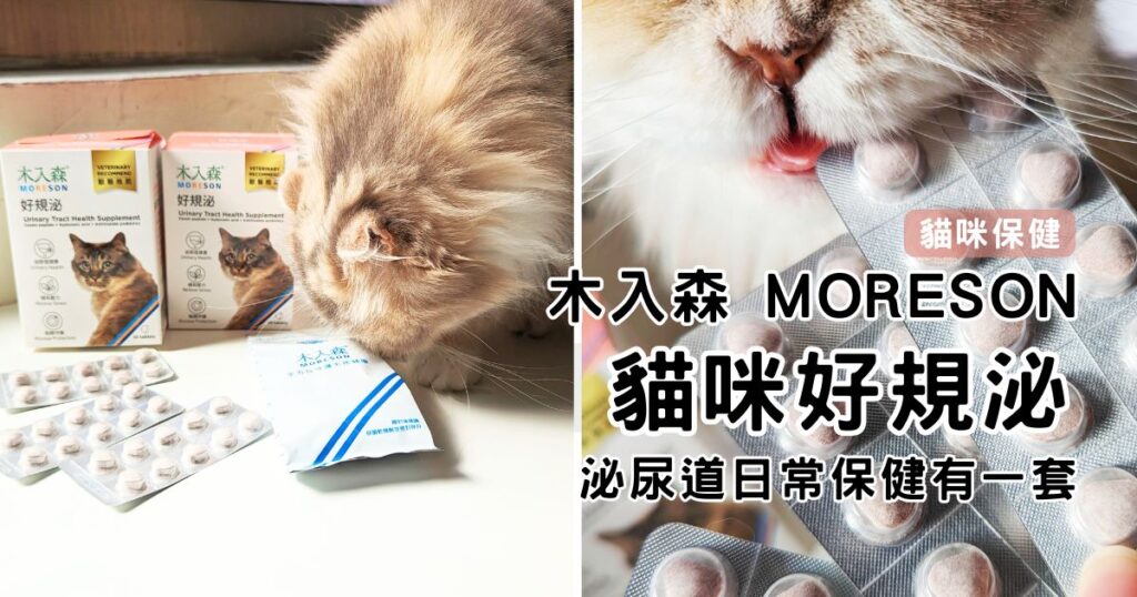 貓咪保健｜木入森｜貓咪好規泌。貓奴們看過來，這款連貓咪都搶著要吃的泌尿保健食品，專為貓咪泌尿道健康設計的日常保健品
