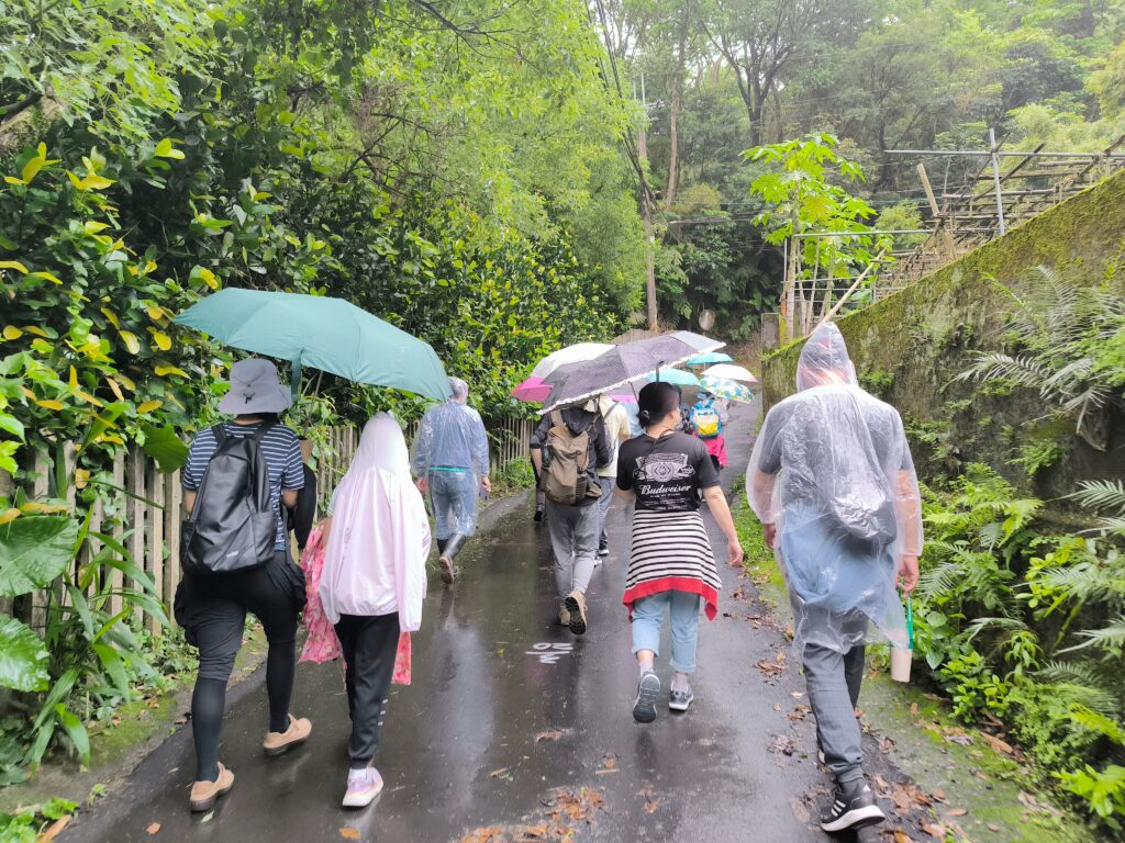 新北一日遊｜三峽藍金深度旅遊｜適合親子體驗，深入白雞山從採葉到藍染的製作過程全公開，冠軍茶葉廠品味三峽好茶