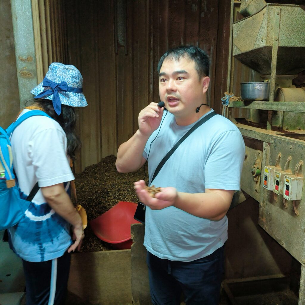 新北一日遊｜三峽藍金深度旅遊｜適合親子體驗，深入白雞山從採葉到藍染的製作過程全公開，冠軍茶葉廠品味三峽好茶
