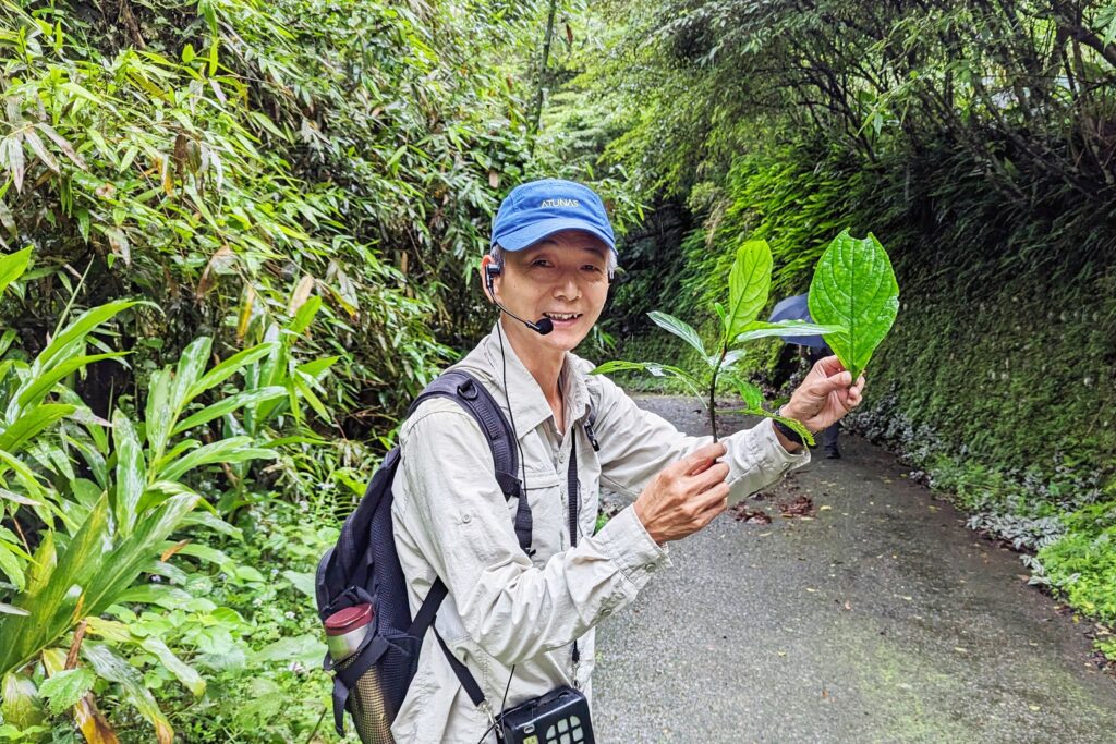 新北一日遊｜三峽藍金深度旅遊｜適合親子體驗，深入白雞山從採葉到藍染的製作過程全公開，冠軍茶葉廠品味三峽好茶