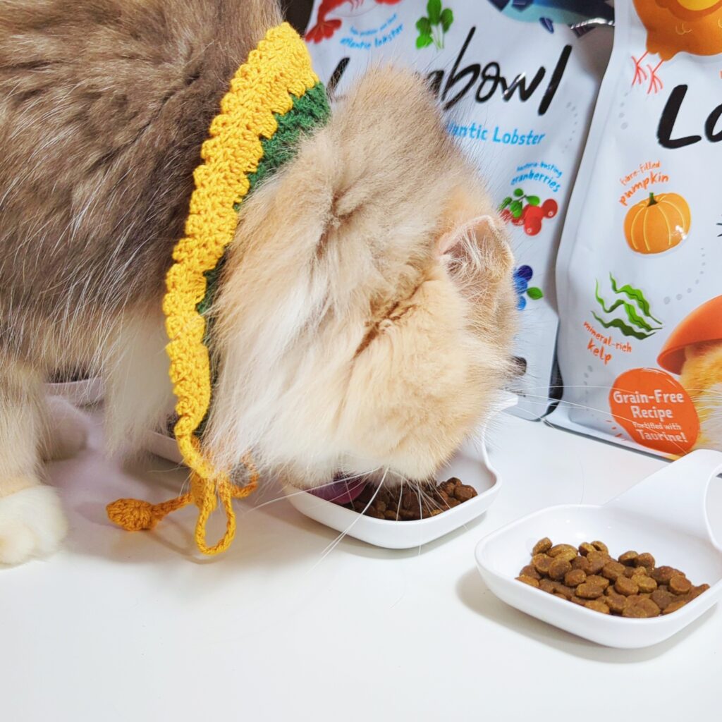 貓咪飼料｜囍碗Loveabowl｜來自加拿大的 天然無穀寵糧推薦：挑食貓好滿足的海陸饗宴無穀飼料，小顆好入口，小型貓咪也能大口吃