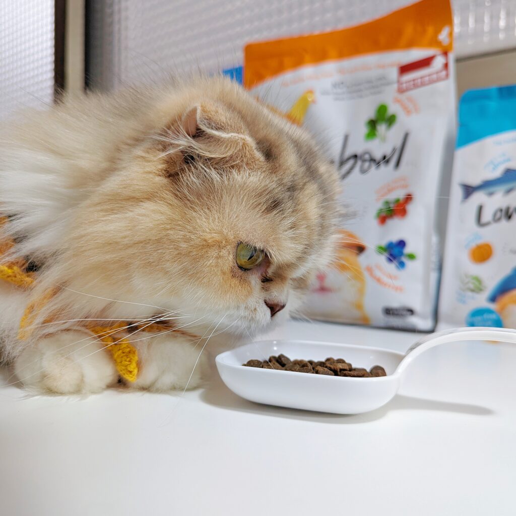 貓咪飼料｜囍碗Loveabowl｜來自加拿大的 天然無穀寵糧推薦：挑食貓好滿足的海陸饗宴無穀飼料，小顆好入口，小型貓咪也能大口吃