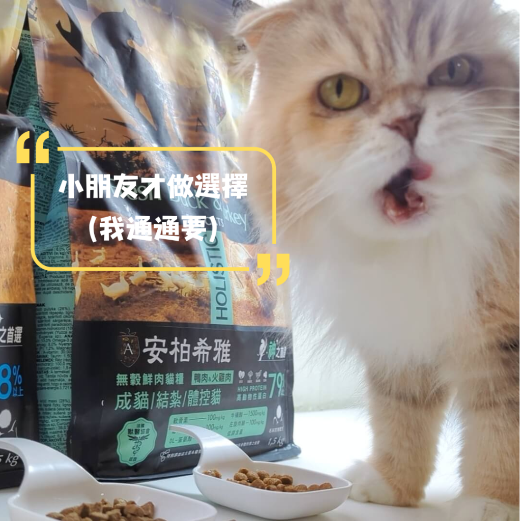 2024飼料推薦｜王品寵物｜安柏希雅 AMBROSIA 飼料-無榖鮮肉貓糧，使用高動物性蛋白，添加毛球控制配方與益生菌+益生元，讓貓貓好好吃開箱