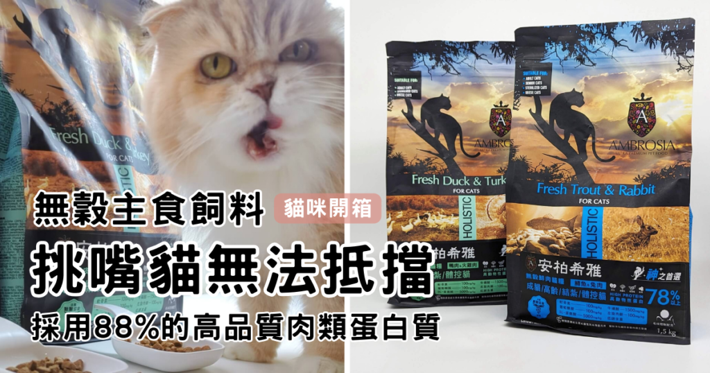2024飼料推薦|王品寵物|安柏希雅 AMBROSIA 飼料-無榖鮮肉貓糧,使用高動物性蛋白,添加毛球控制配方與益生菌+益生元,讓貓貓好好吃開箱