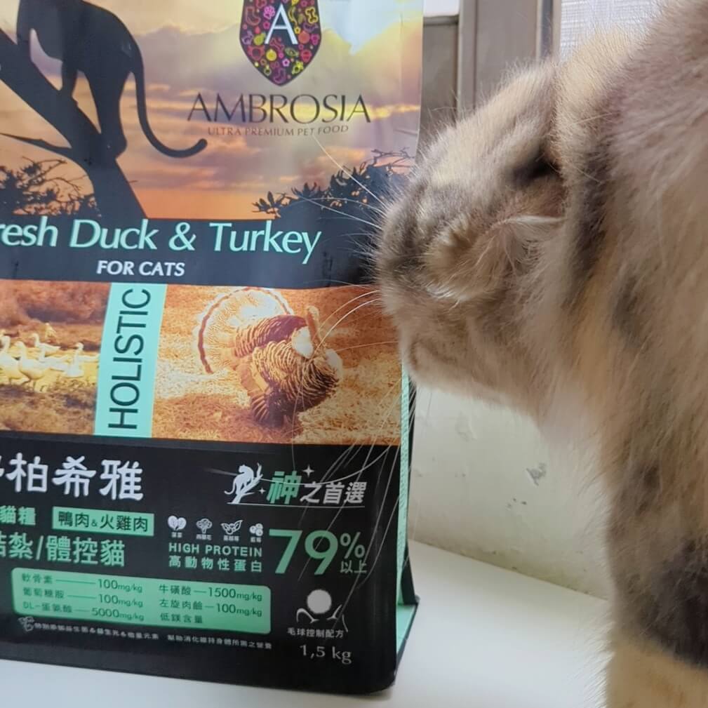 2024飼料推薦｜王品寵物｜安柏希雅 AMBROSIA 飼料-無榖鮮肉貓糧，使用高動物性蛋白，添加毛球控制配方與益生菌+益生元，讓貓貓好好吃開箱