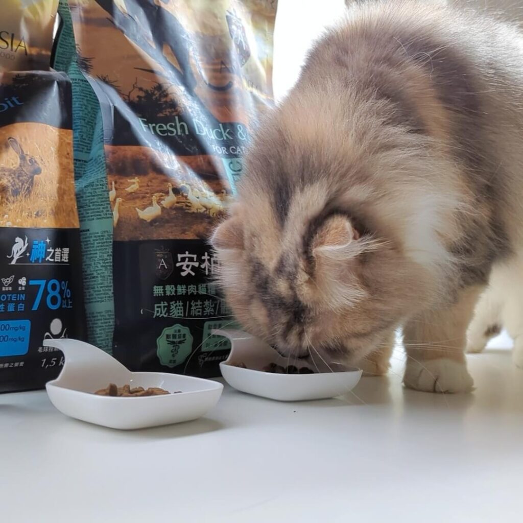 2024飼料推薦｜王品寵物｜安柏希雅 AMBROSIA 飼料-無榖鮮肉貓糧，使用高動物性蛋白，添加毛球控制配方與益生菌+益生元，讓貓貓好好吃開箱
