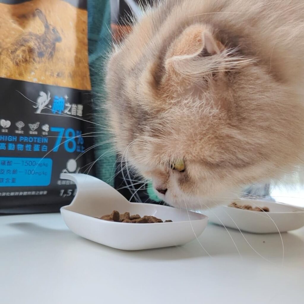 2024飼料推薦｜王品寵物｜安柏希雅 AMBROSIA 飼料-無榖鮮肉貓糧，使用高動物性蛋白，添加毛球控制配方與益生菌+益生元，讓貓貓好好吃開箱