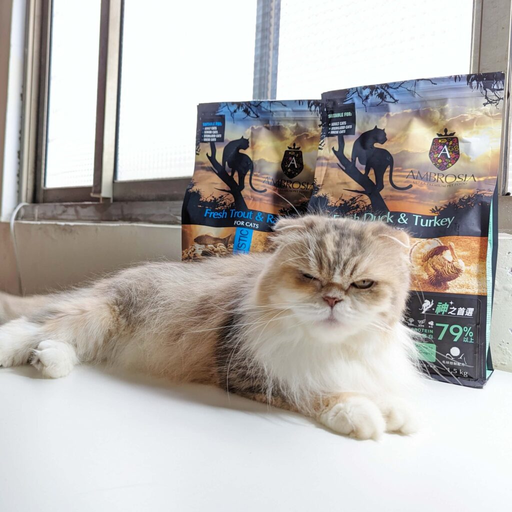 2024飼料推薦｜王品寵物｜安柏希雅 AMBROSIA 飼料-無榖鮮肉貓糧，使用高動物性蛋白，添加毛球控制配方與益生菌+益生元，讓貓貓好好吃開箱