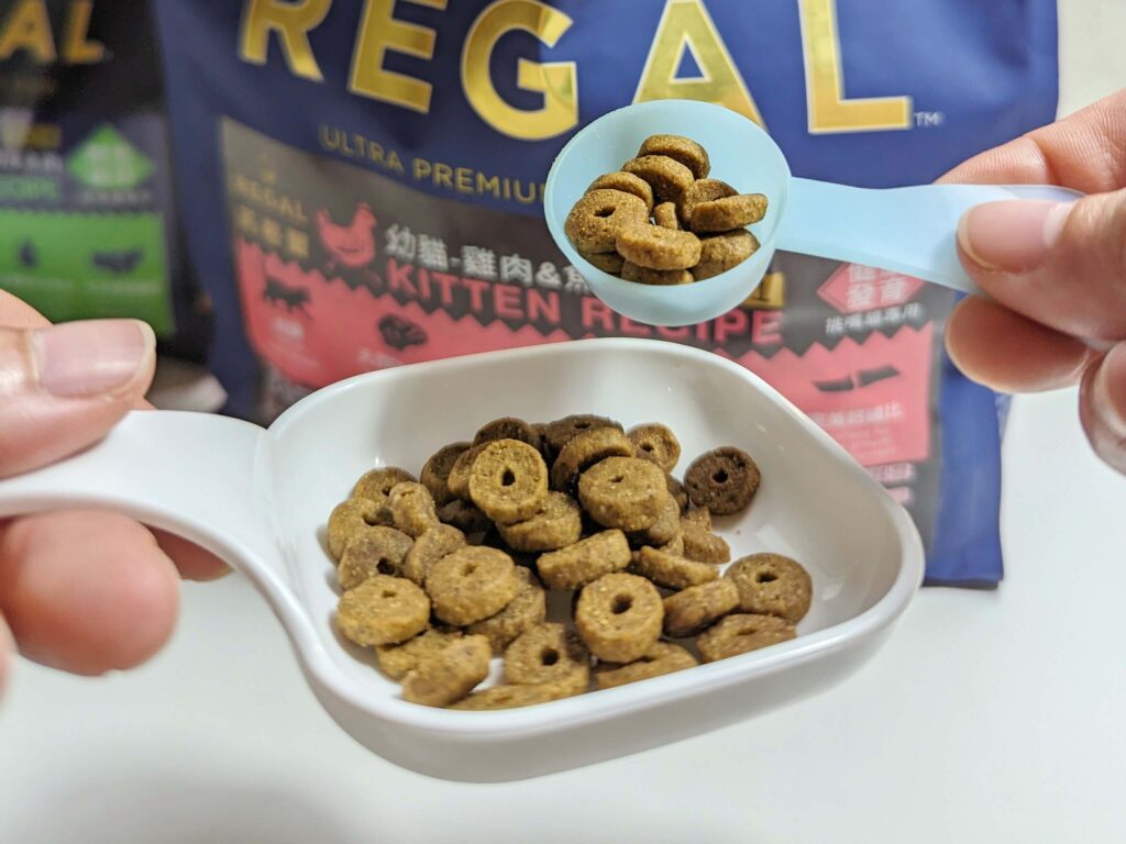 貓咪開箱｜芮格爾天然寵糧｜主打天然、無穀、機能性飼料開箱，貓咪無法抗拒的主食飼料推薦！
