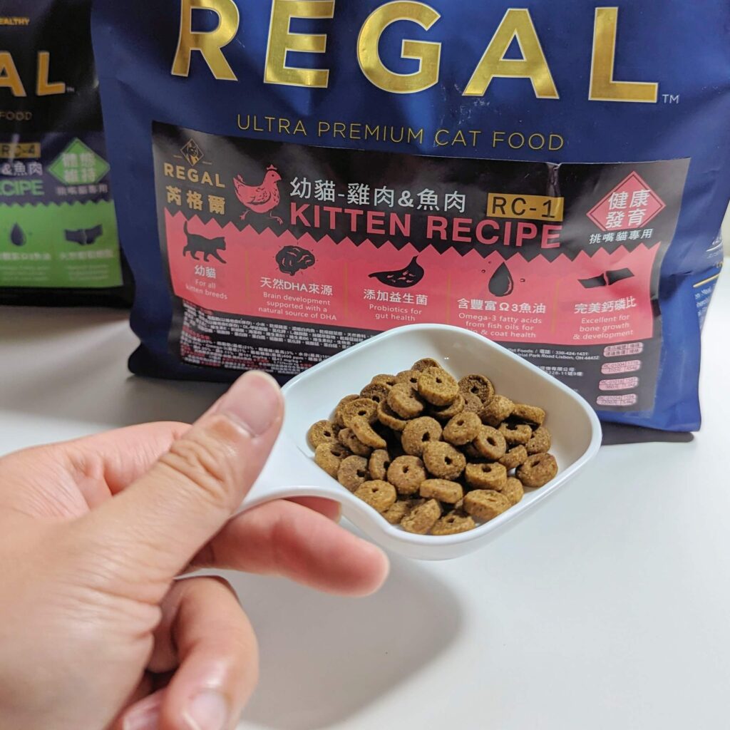 貓咪開箱｜芮格爾天然寵糧｜主打天然、無穀、機能性飼料開箱，貓咪無法抗拒的主食飼料推薦！
