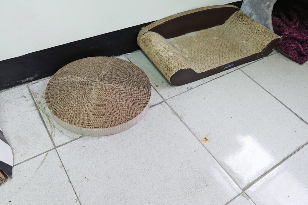 零死角吸塵器開箱｜WONDER旺德電通｜THOMSON集塵塔濕拖無線吸塵器TM-SAV59DT，打造居家完美人設，吸拖兩用不沾手吸塵器心得
