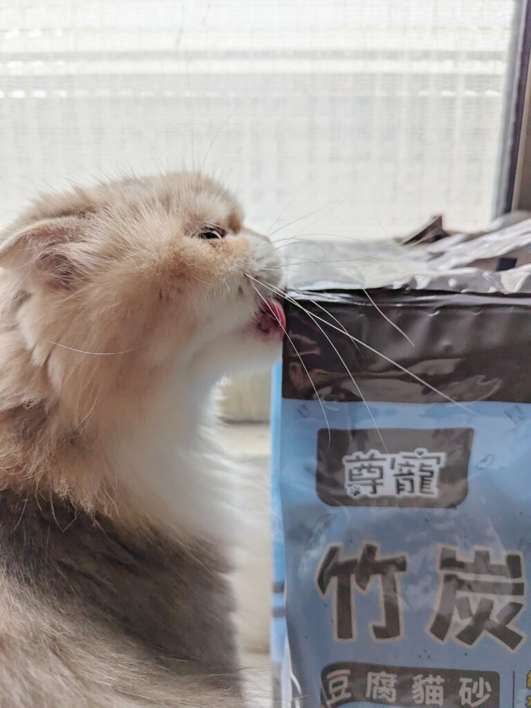 貓咪豆腐砂開箱｜尊寵消臭豆腐砂｜竹炭消臭豆腐砂心得，奶香除臭佳、凝結力強、可沖馬桶，貓咪接受度高